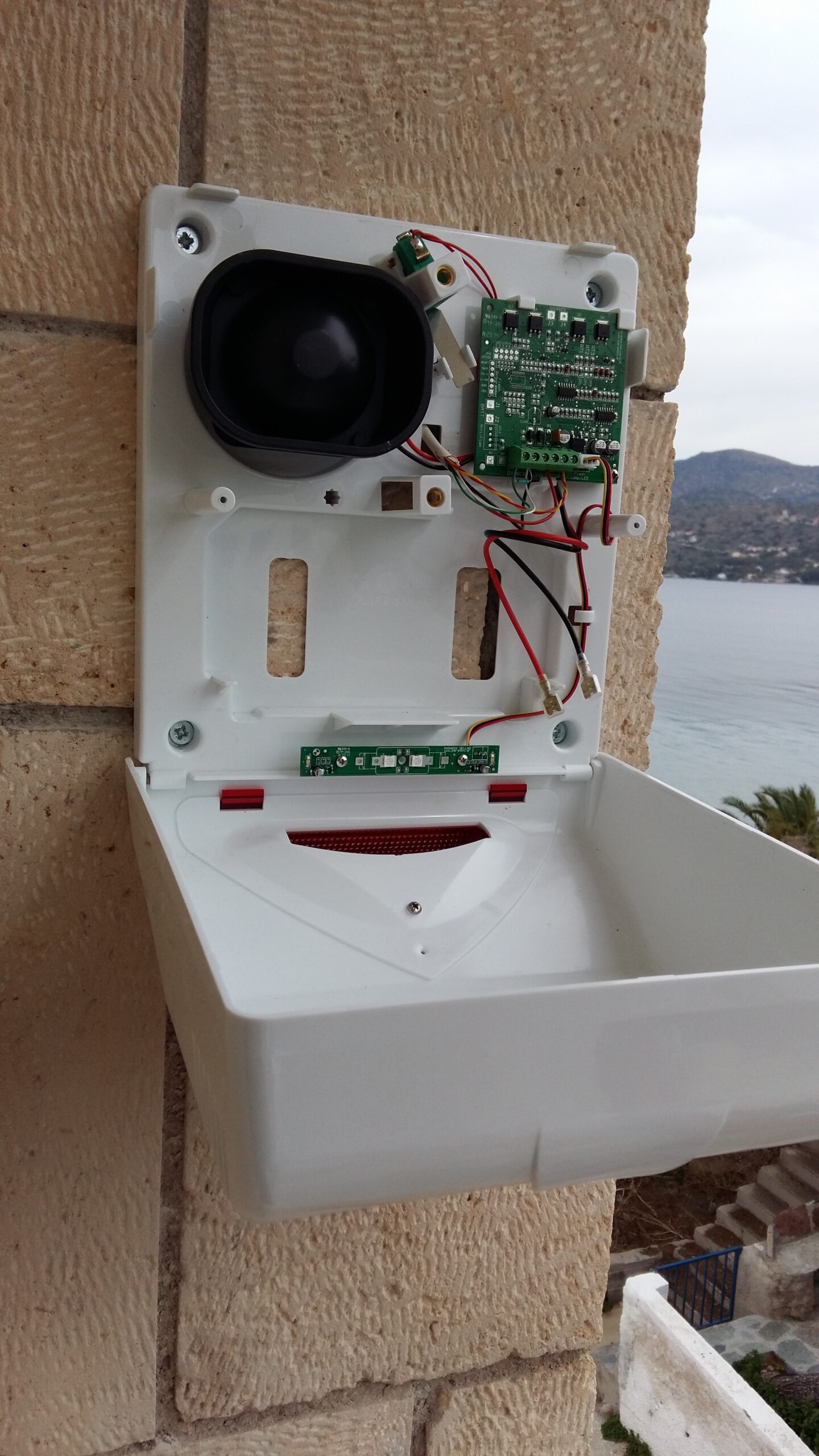 20160204_114156 scaled